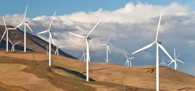 Ανεμοδαρμένες προχειρότητες